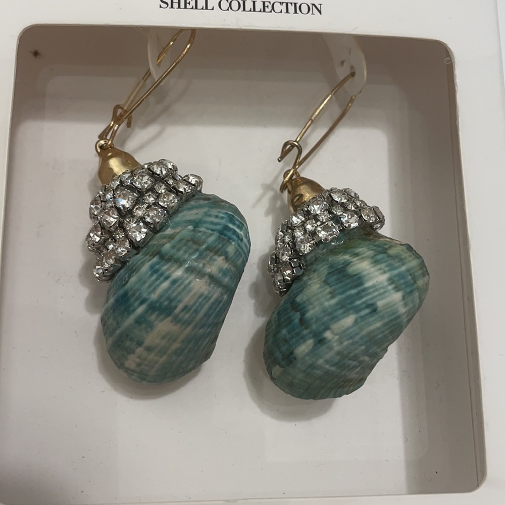 ZARA SPECIAL EDITION earrings.   $25